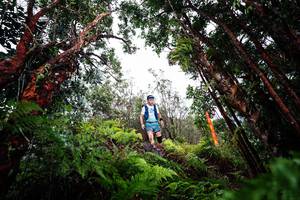 BIB: 
                            <button type="button" onclick="openModal(26202691)" class="btn btn-primary btn-sm float-right btn-popup" data-toggle="modal" data-target=".modal-high-quality">
                        <i class="fas fa-shopping-cart"></i> Add to Cart
                    </button>
                                            <button type="button" onclick="isThisMe(26202691, true)" class="btn btn-success btn-sm float-right btn-popup btn-isme hidden" data-toggle="tooltip" data-placement="bottom" title="นี่คือรูปของคุณใช่ไหม คลิกที่นี่เพื่อเอาเข้าอัลบั้ม">
                        <i class="fas fa-plus"></i> Add to album
                    </button>
                    <button type="button" onclick="isThisMe(26202691, false)" class="btn btn-warning btn-sm float-right btn-popup btn-isnotme hidden">
                        <i class="fas fa-ban"></i> Remove from album
                    </button>